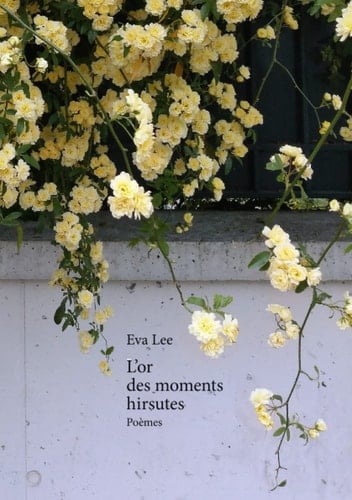 L'OR DES MOMENTS HIRSUTES.