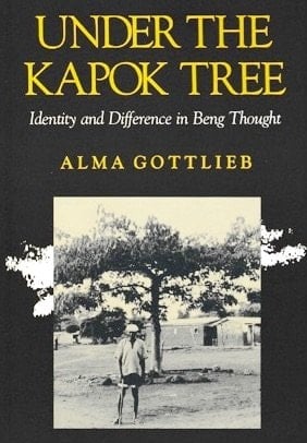 Under the Kapok Tree: Identity and Difference in Beng Thought (African Systems of Thought)