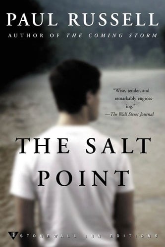 The Salt Point A Novel