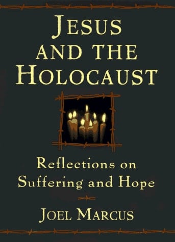 Jesus and the Holocaust Reflections on Suffering and Hope