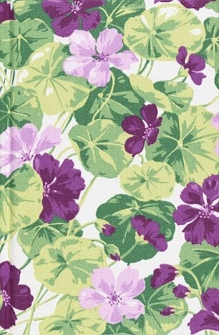 Pansy Garden