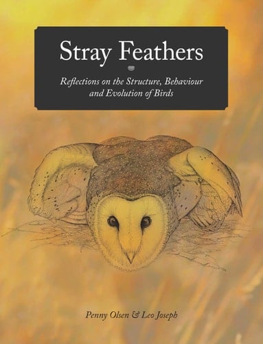 Stray Feathers Reflections on the Structure, Behaviour and Evolution of Birds