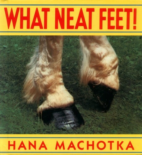 What Neat Feet!