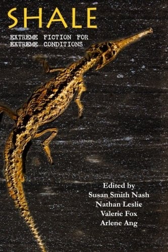 Shale Extreme Fiction for Extreme Conditions