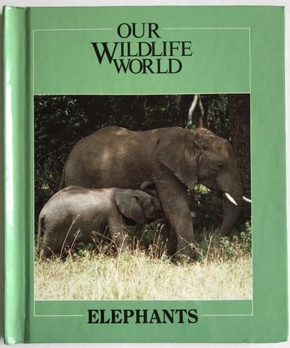 Elephants
