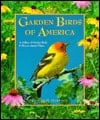 Garden Birds Of America: A Gallery Of Garden Birds And How To Attract Them
