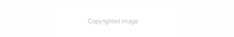Pro Football Guide 2006 2006 Preview and 2005 Review