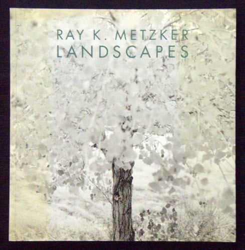 Ray K. Metzker Landscapes