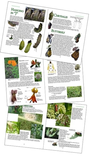 Learning from Monarchs A Teachers' Handbook