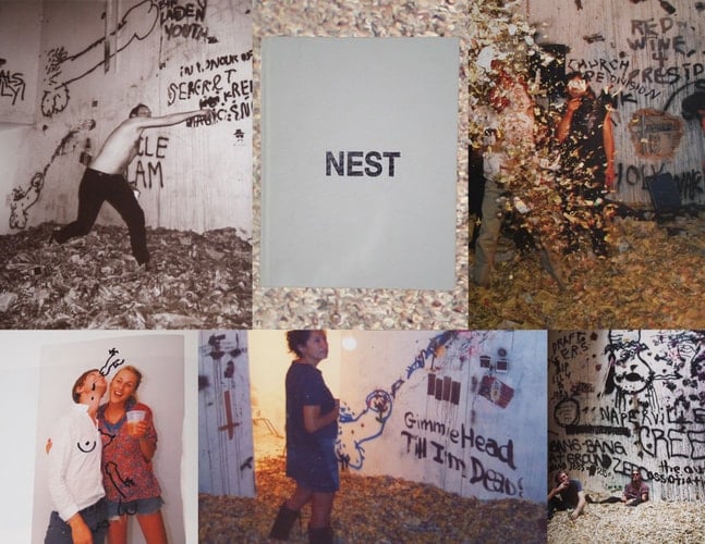 Nest Dash Snow, Dan Colen