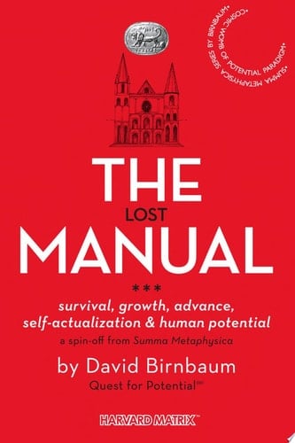 The Lost Manual