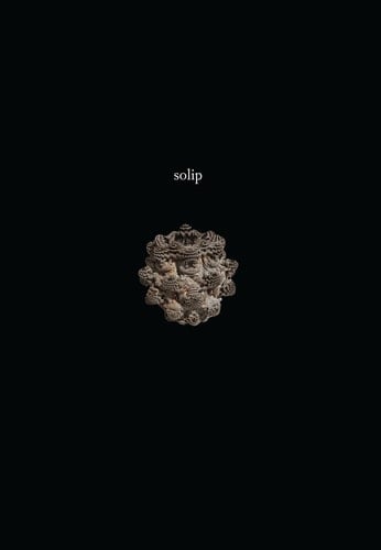 Solip A Novel