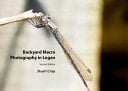 Backyard Macro Photography in Logan