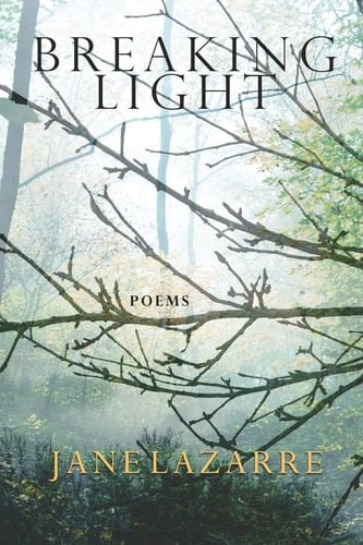 Breaking Light