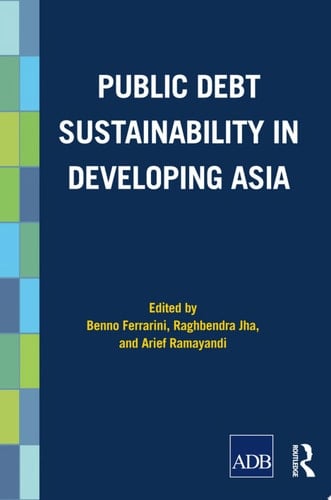 Public Debt Sustainability in Developing Asia