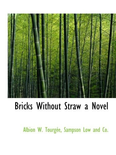 Bricks Without Straw a Novel