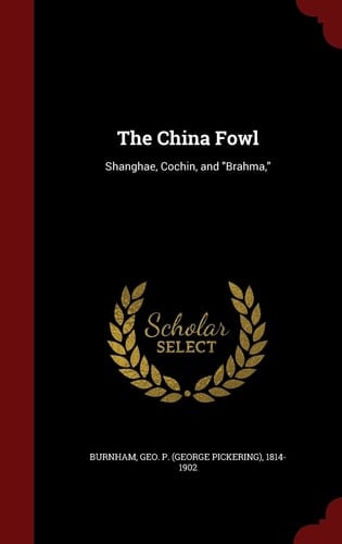 The China Fowl Shanghae, Cochin, and "Brahma,"