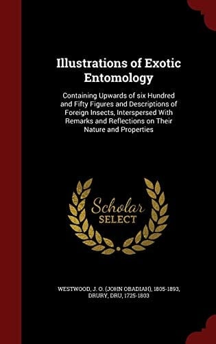 Illustrations of Exotic Entomology Containing Upwards of Six Hundred and Fifty Figures and Descriptions of Foreign Insects, Interspersed With Remarks and Reflections on Their Nature and Properties