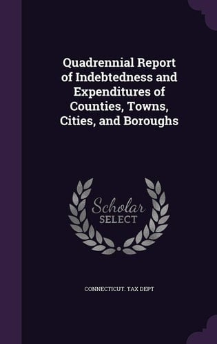 Quadrennial Report of Indebtedness and Expenditures of Counties, Towns, Cities, and Boroughs
