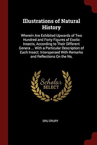 Illustrations of Natural History Wherein Are Exhibited Upwards of Two Hundred and Forty Figures of Exotic Insects, According to Their Different Genera ... with a Particular Description of Each Insect: Interspersed with Remarks and Reflections on the Na,