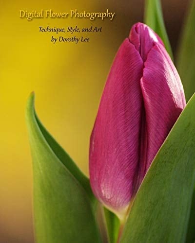Digital Flower Photography