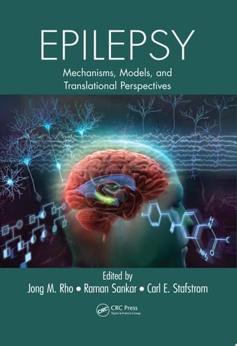 Epilepsy Mechanisms, Models, and Translational Perspectives