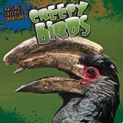 Creepy Birds