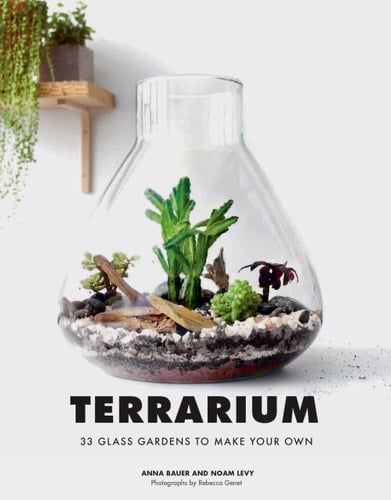Terrarium 33 Glass Gardens to Make Your Own