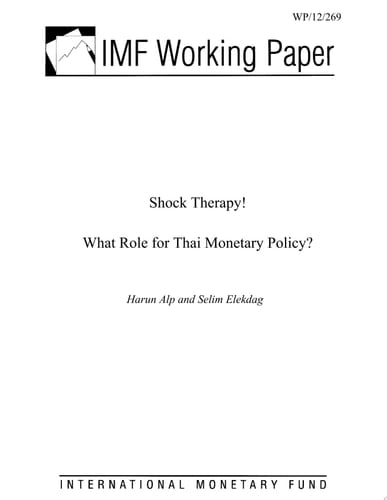 Shock Therapy! What Role for Thai Monetary Policy?