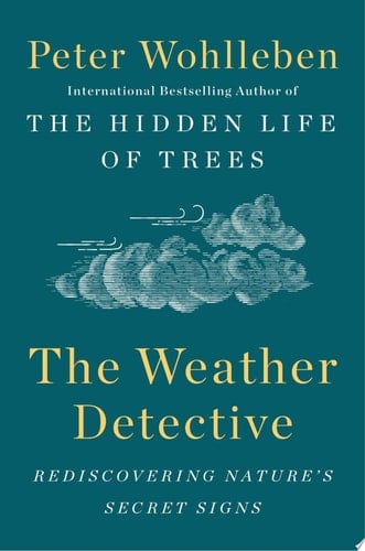 The Weather Detective
