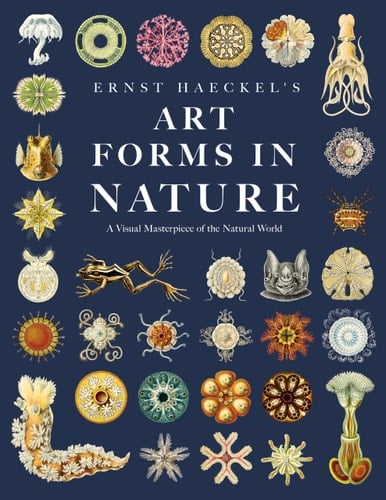 Ernst Haeckel's Art Forms in Nature A Visual Masterpiece of the Natural World