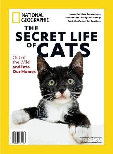 The Secret Life of Cats Out of the Wild and Into Our Homes