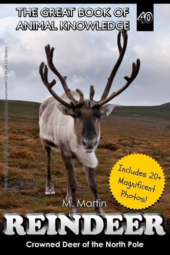 Reindeer Crowned Deer of the North Pole