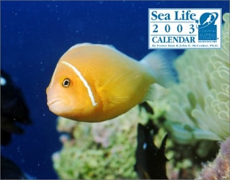 Sea Life