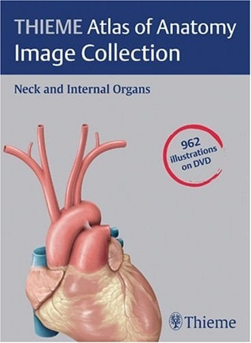 Thieme Atlas of Anatomy Image collection. Neck and internal organs