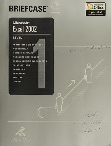 Excel 2002 Level 1