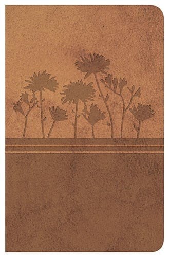 Biblia Clásica Edición Especial Ocre