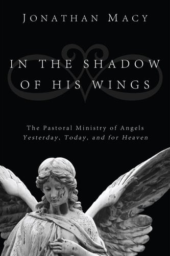 In the Shadow of His Wings The Pastoral Ministry of Angels: Yesterday, Today, and for Heaven