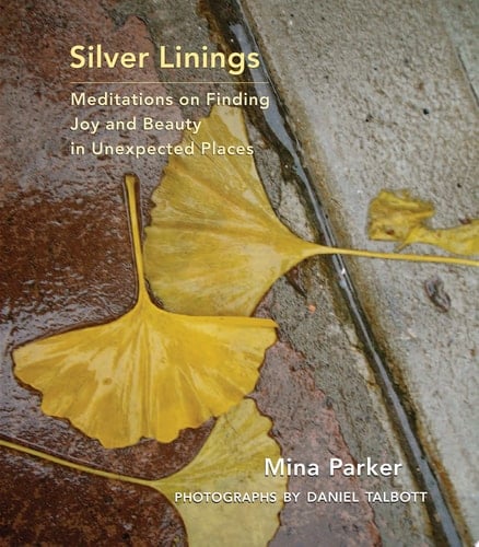 Silver Linings