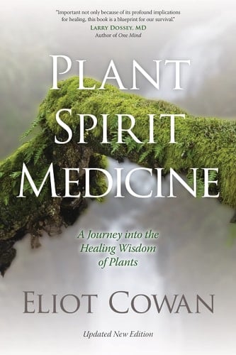 Plant Spirit Medicine A Journey into the Healing Wisdom of Plants