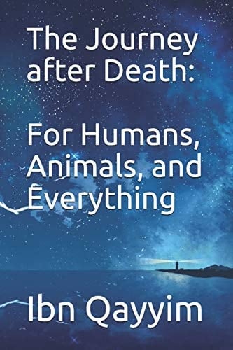 The Journey After Death For Humans, Animals, and Everything