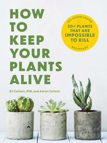 How to Keep Your Plants Alive 50 Plants That Are Impossible to Kill