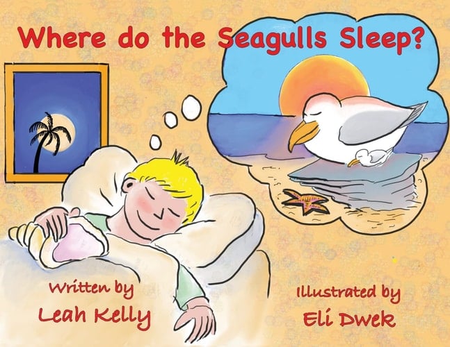 Where Do the Seagulls Sleep?