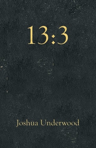 1 3