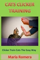 Cats Clicker Training Clicker Train Cats The Easy Way