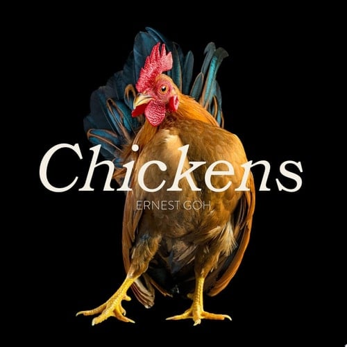 Chickens