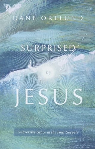 Surprised by Jesus Subversive Grace in the Four Gospels