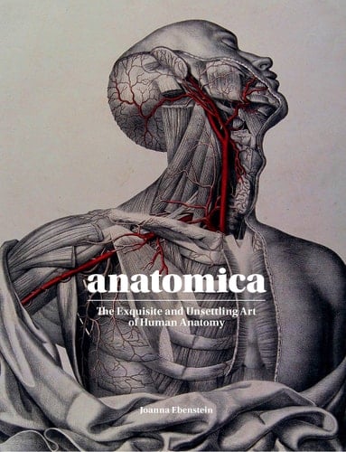 Anatomica The Exquisite and Unsettling Art of Human Anatomy