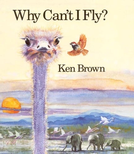 Why Can't I Fly?