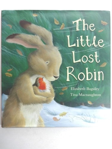 The Little Lost Robin